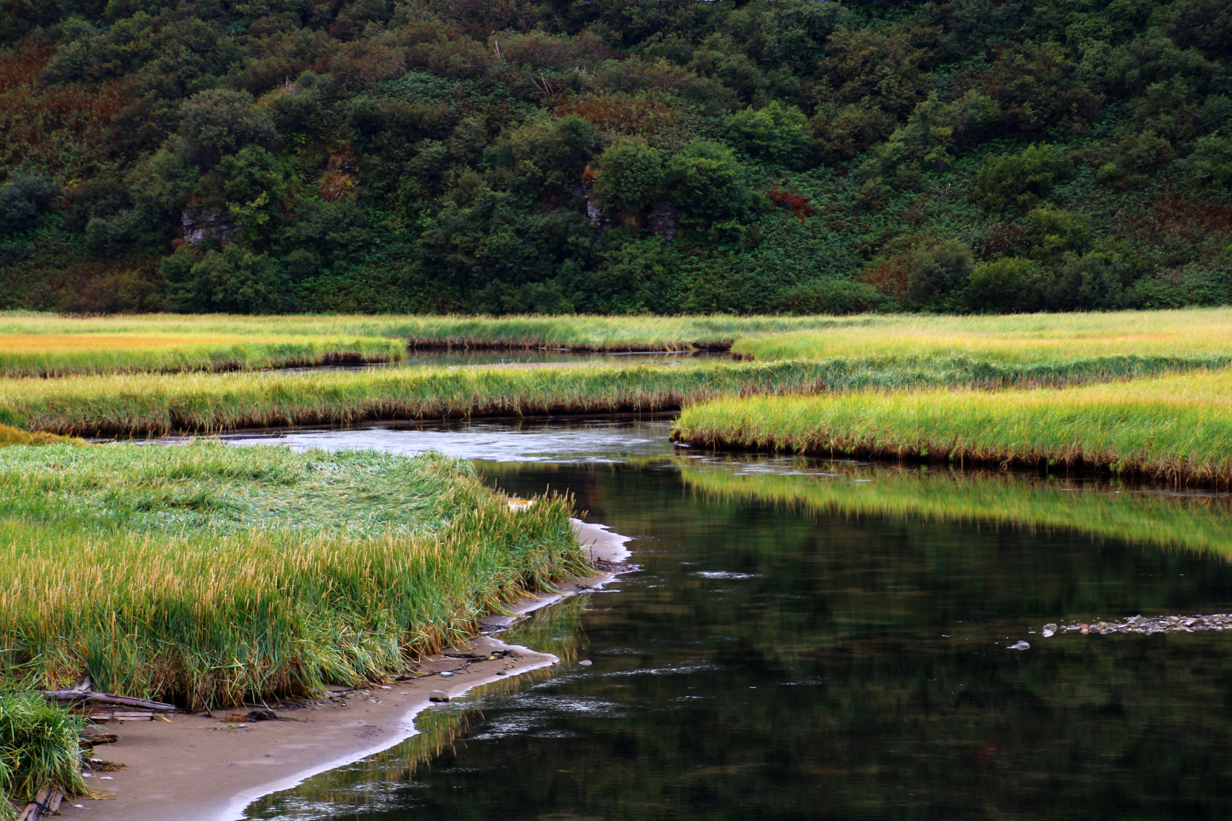chignik, alaska.webp